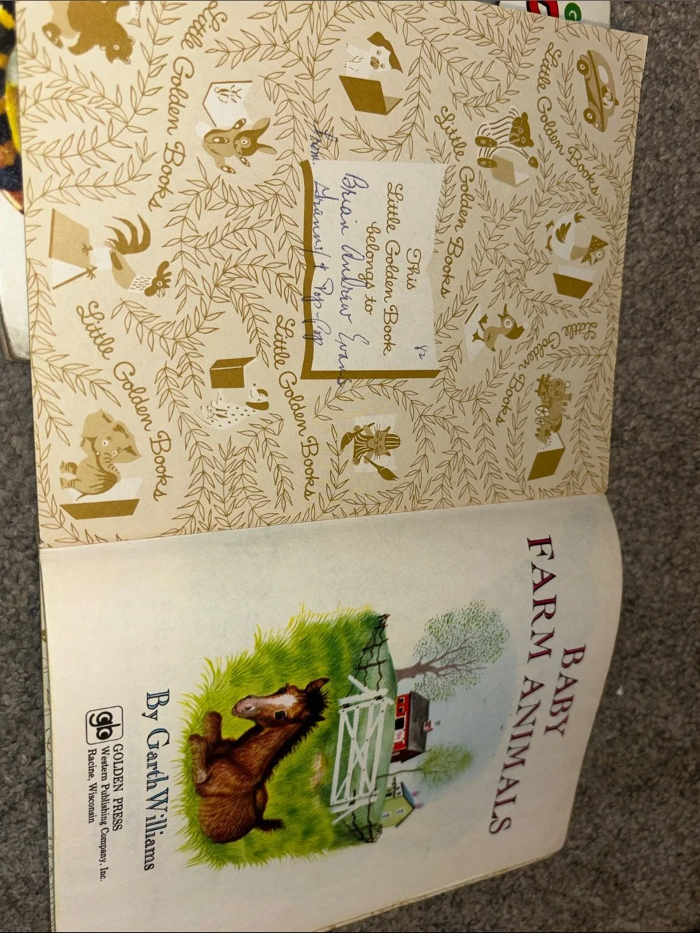 3 books-Tawny Scrawny Lion, The saggy elephant & baby farm animals A golden book